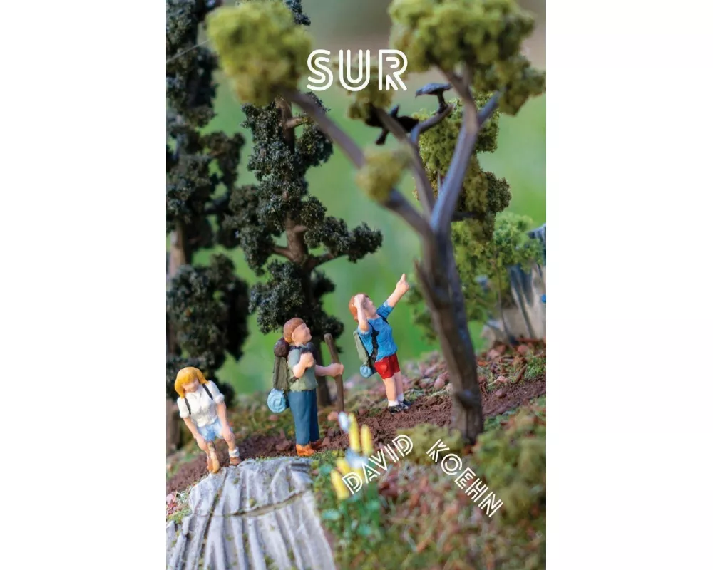 Sur