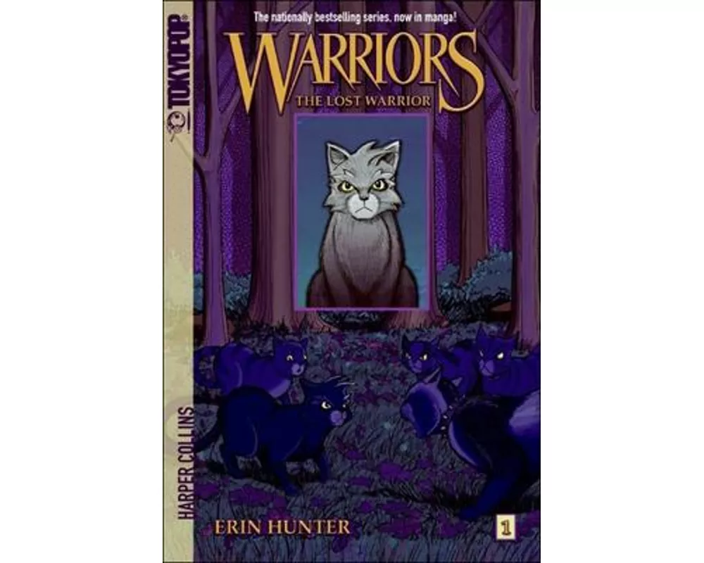 The Lost Warrior