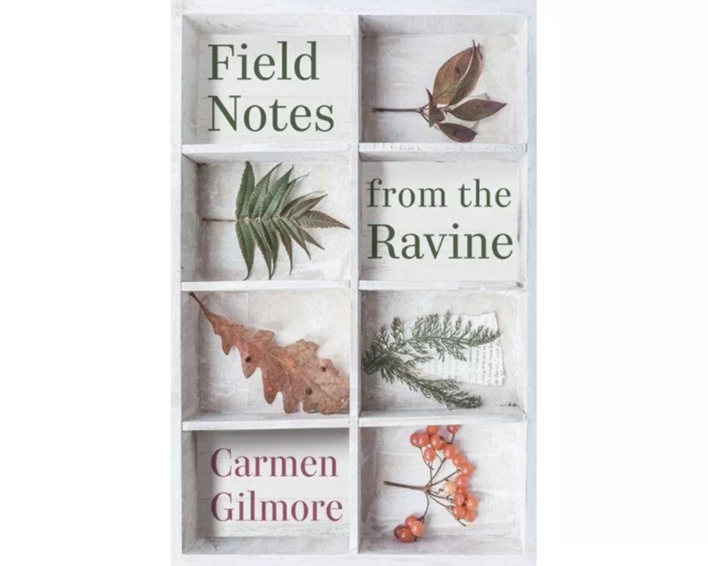 Field Notes from the Ravine