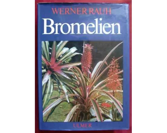 Bromelien