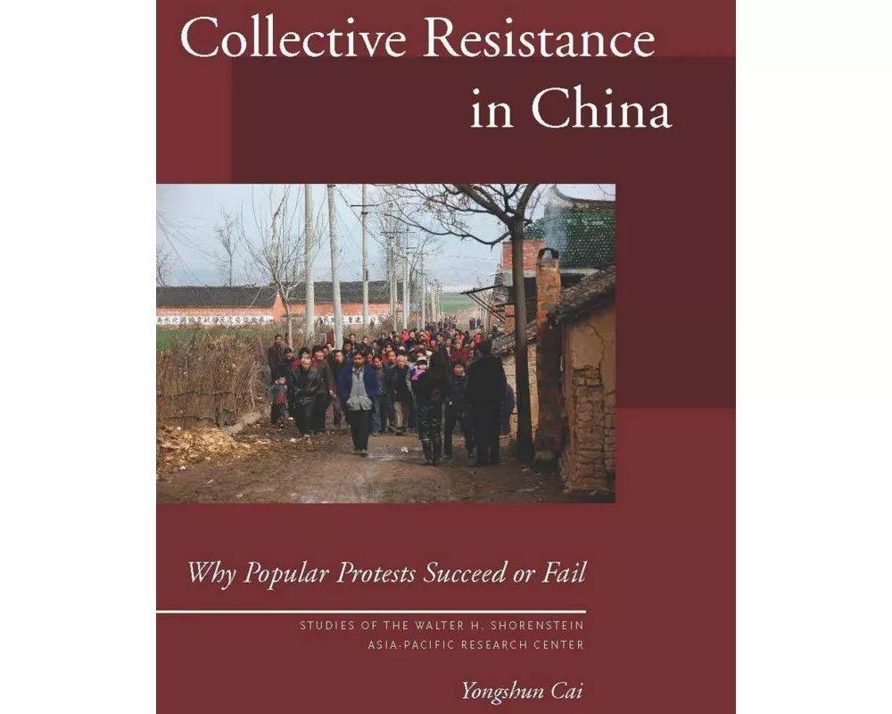 Collective Resistance in China