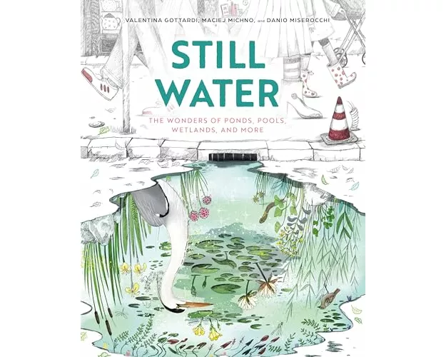 Still Water