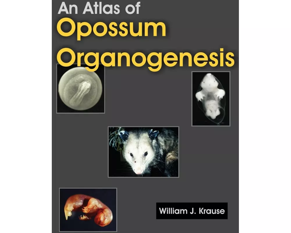 An Atlas of Opossum Organogenesis