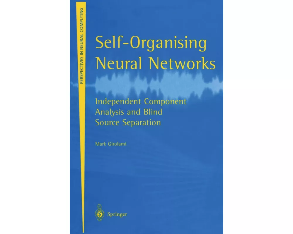 Self-Organising Neural Networks