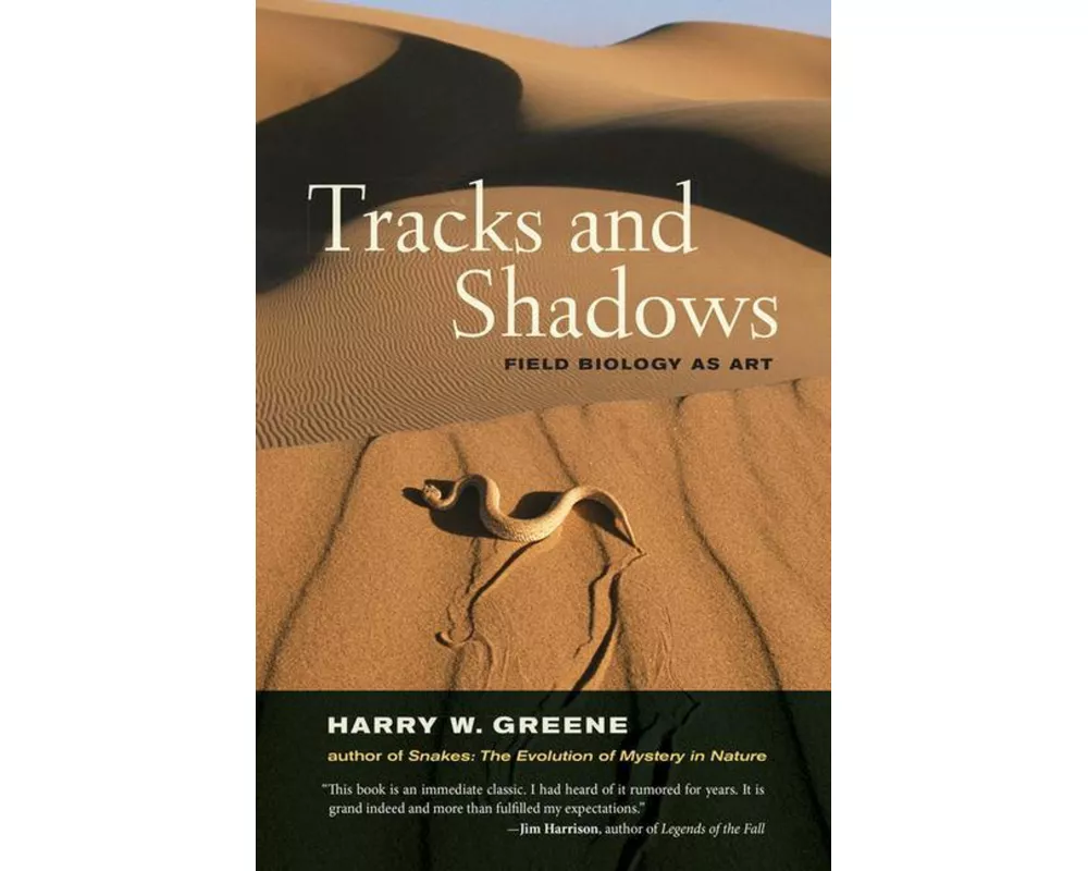 Tracks and Shadows