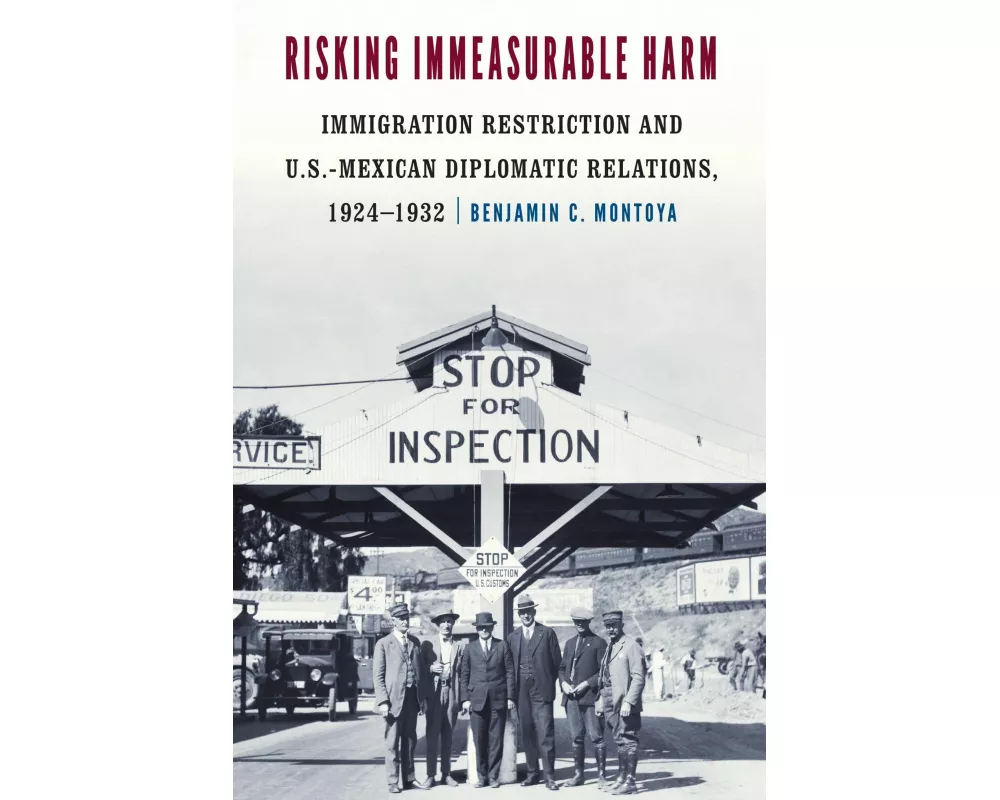 Risking Immeasurable Harm