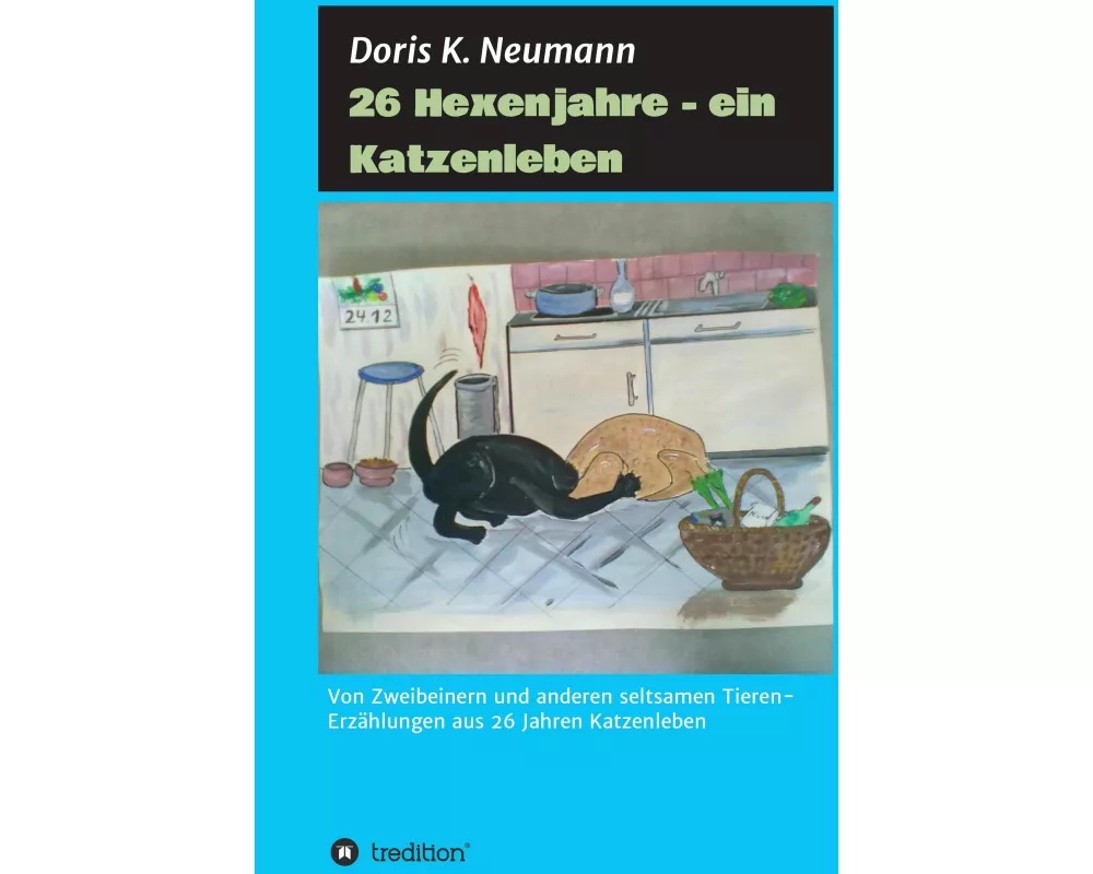 26 Hexenjahre - ein Katzenleben