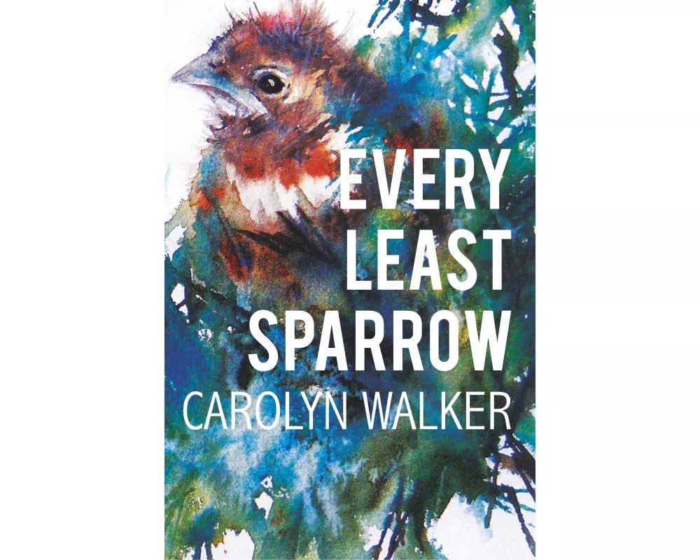 Every Least Sparrow