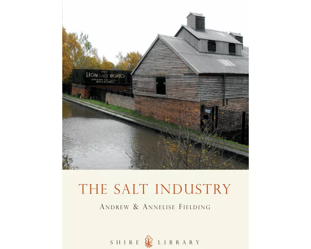 The Salt Industry
