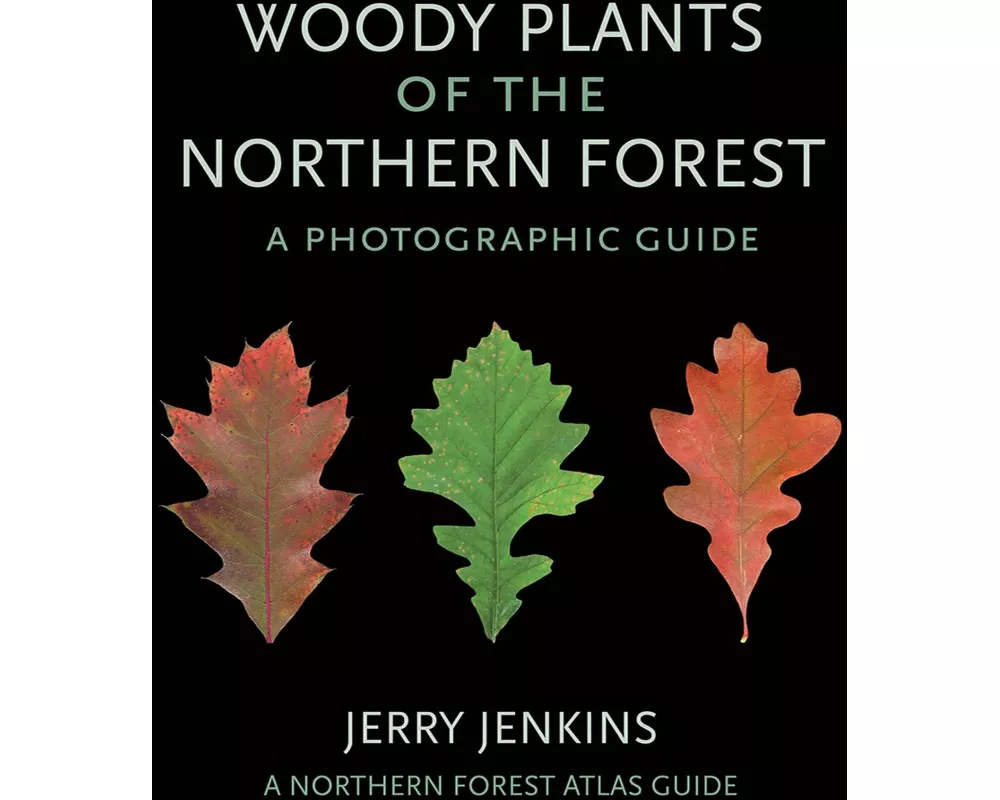 Woody Plants of the Northern Forest