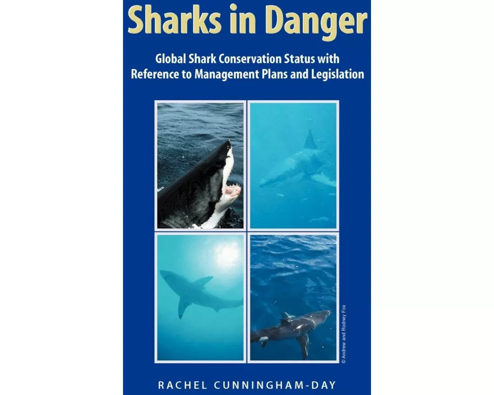 Sharks in Danger