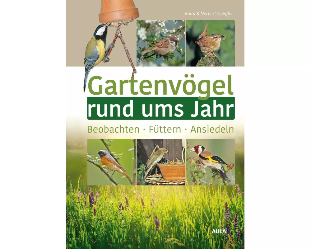 Gartenvögel rund ums Jahr