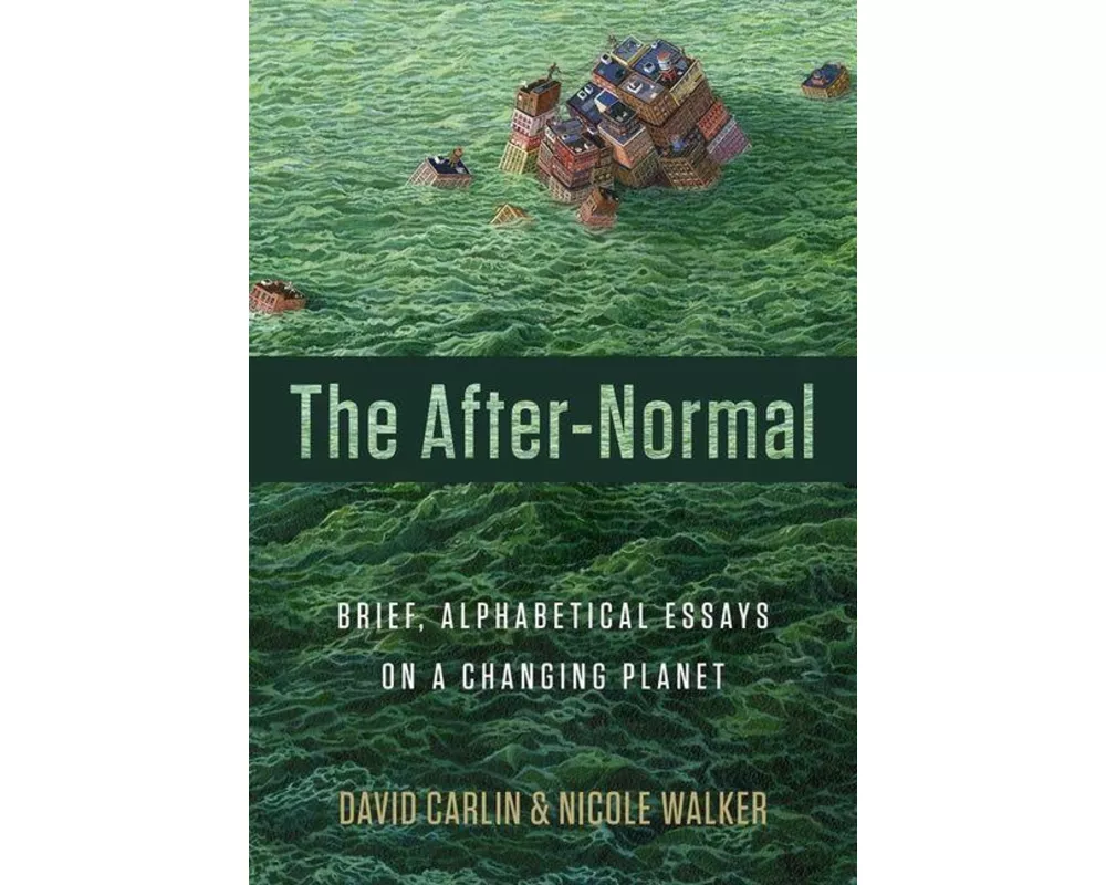 The After-Normal