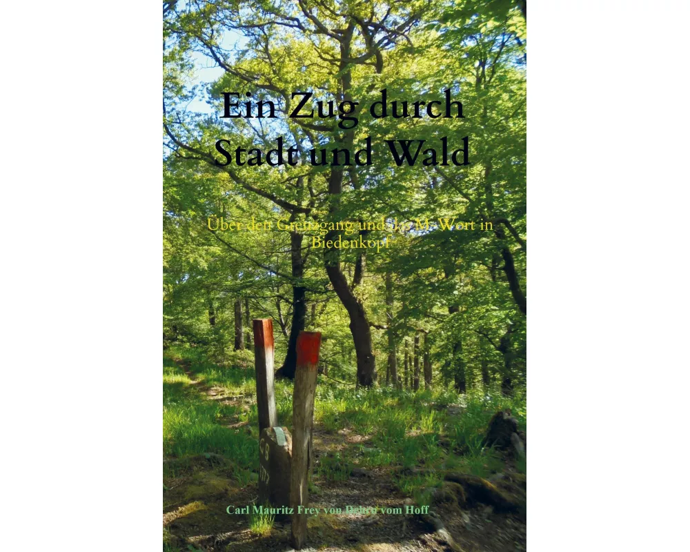 Ein Zug durch Stadt und Wald