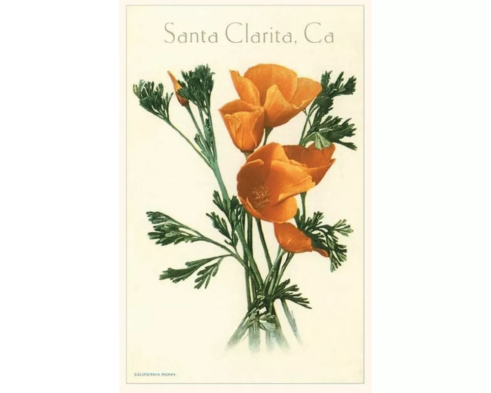 The Vintage Journal California Poppy, Santa Clarita