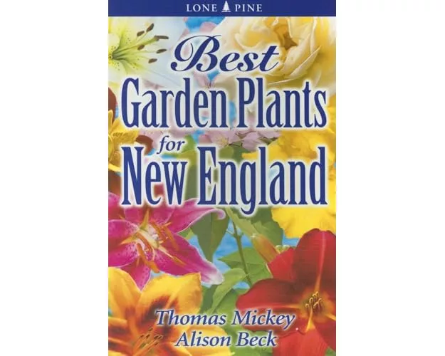 Best Garden Plants for New England