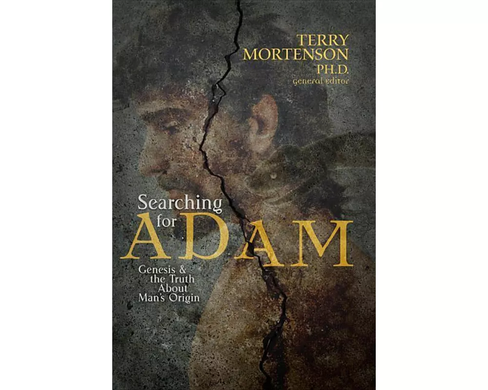 Searching for Adam