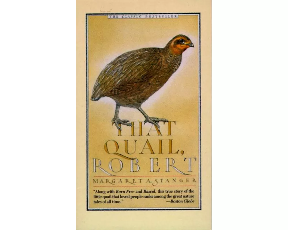 That Quail, Robert
