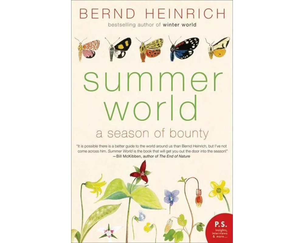 Summer World