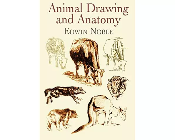 Animal Drawing and Anatomy