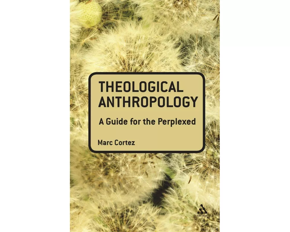 Theological Anthropology: A Guide for the Perplexed