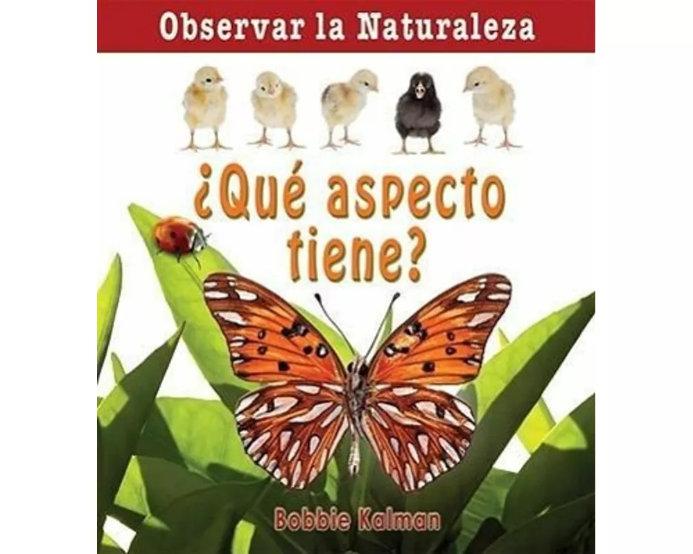 ¿Qué Aspecto Tiene? (How Does It Look?)