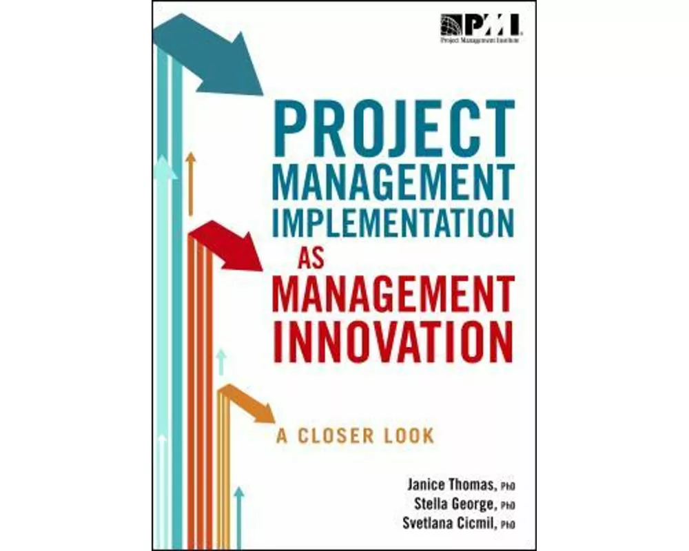 Project Management Implementation as Management Innovation