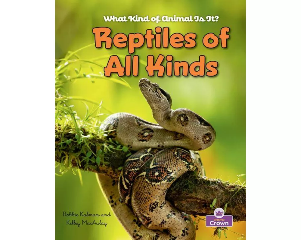 Reptiles of All Kinds