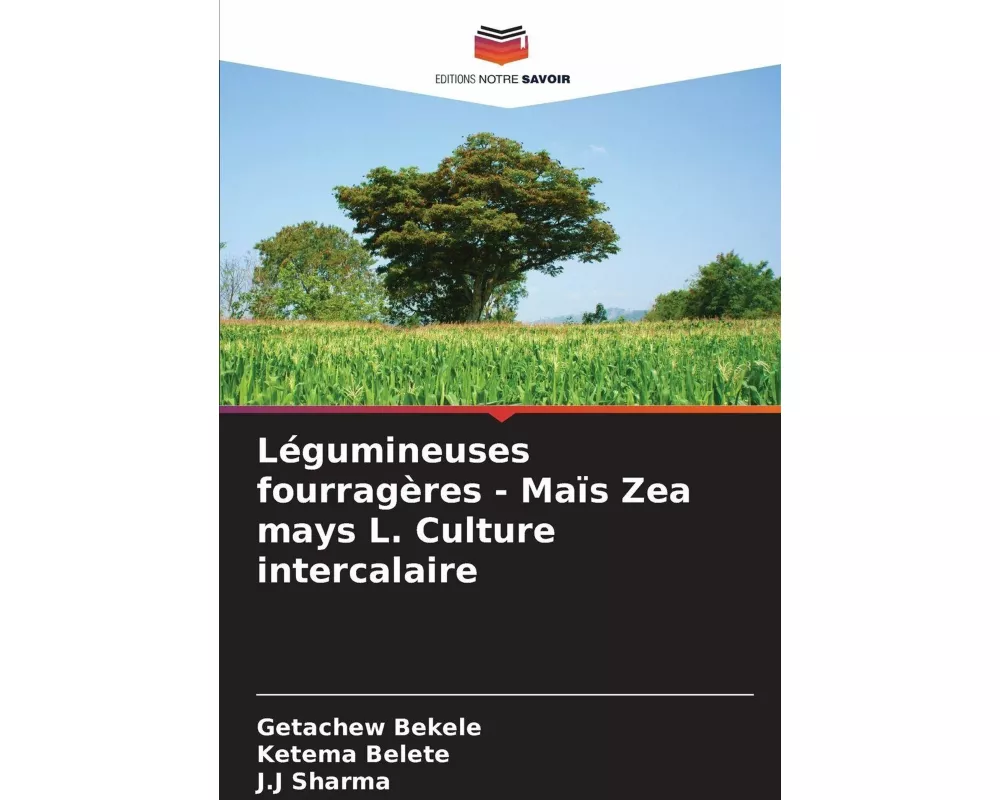 Légumineuses fourragères - Maïs Zea mays L. Culture intercalaire