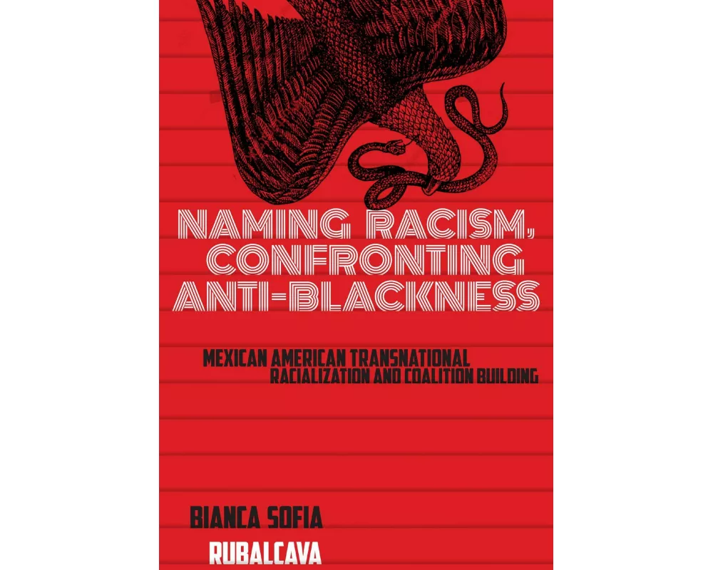 Naming Racism, Confronting Anti-Blackness
