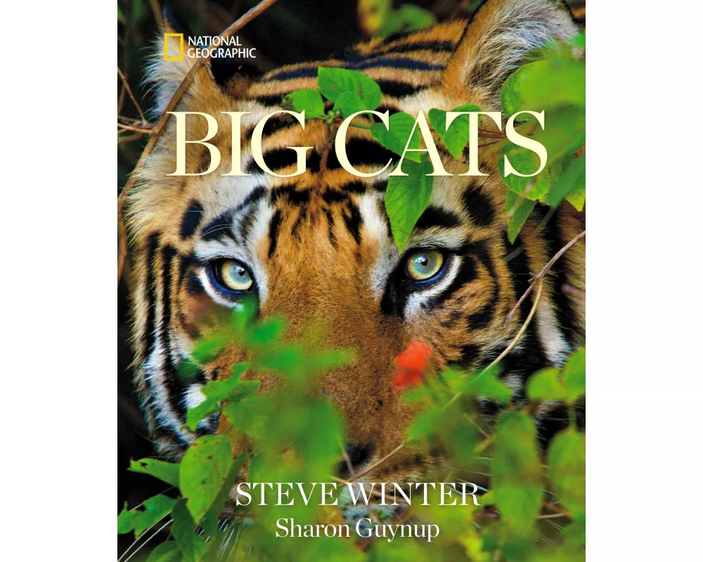 Big Cats