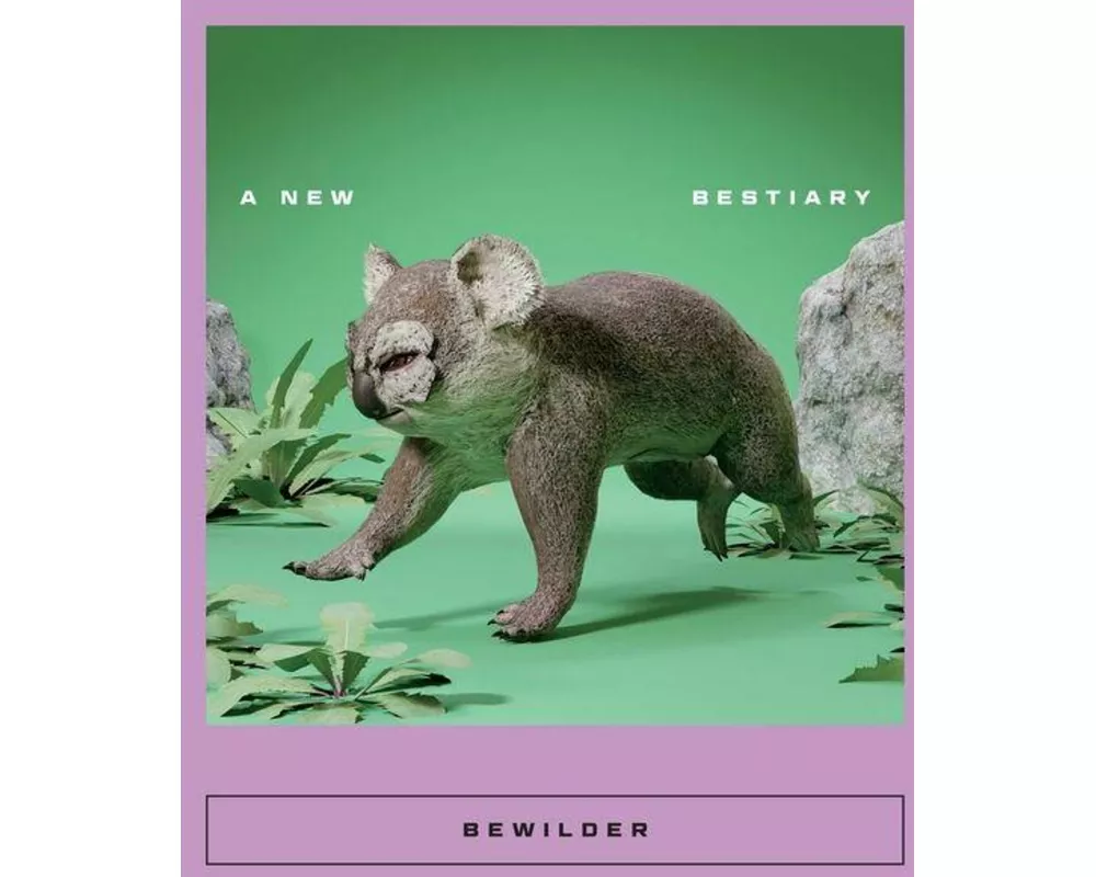Bewilder