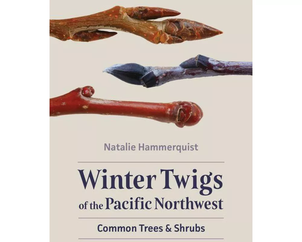 Winter Twigs of the Pacific Northwest