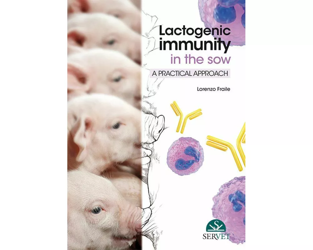 Lactogenic Immunity in the Sow: A Practical Approach
