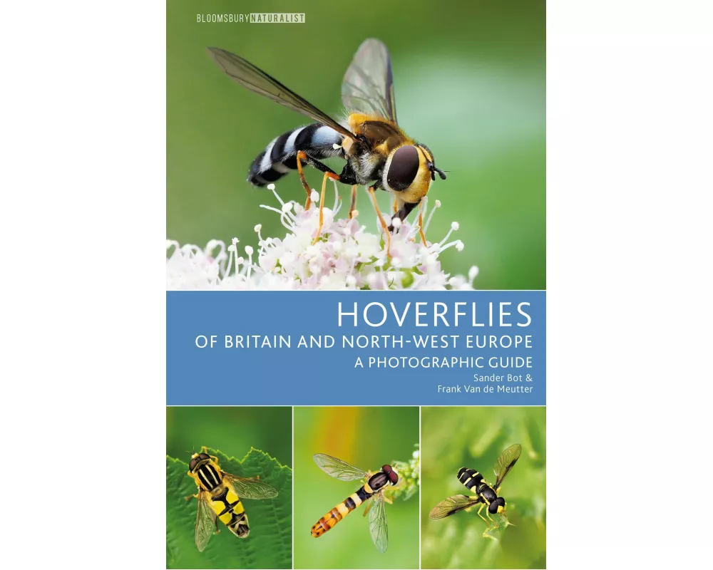 Hoverflies of Britain and North-west Europe