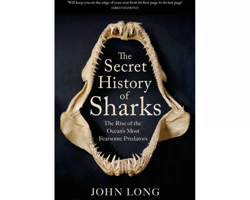 The Secret History of Sharks