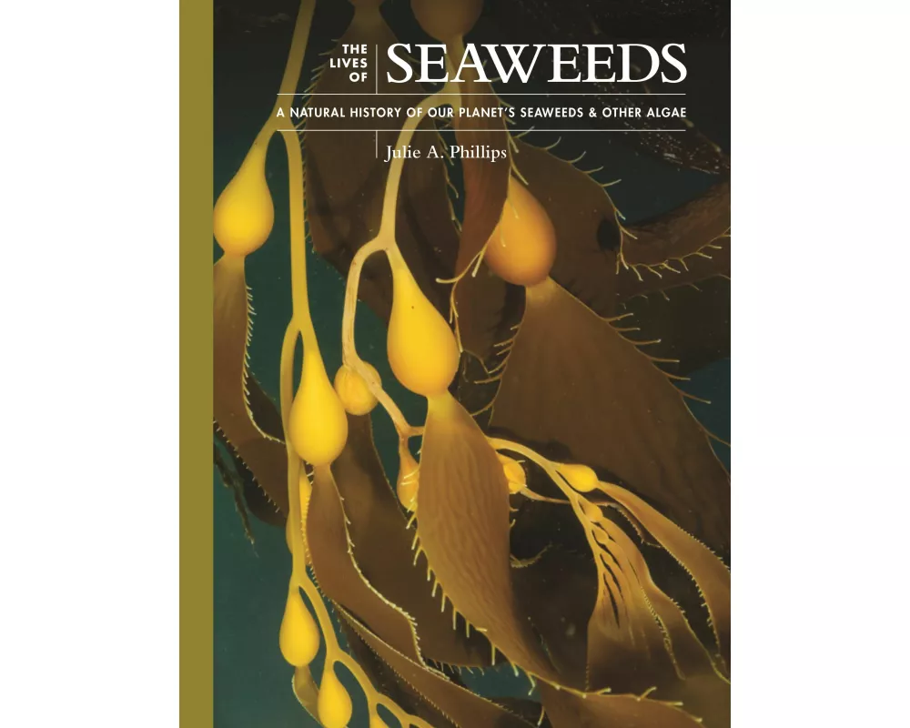 The Lives of Seaweeds