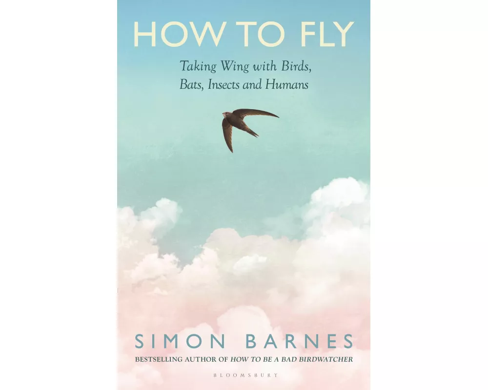 How to Fly