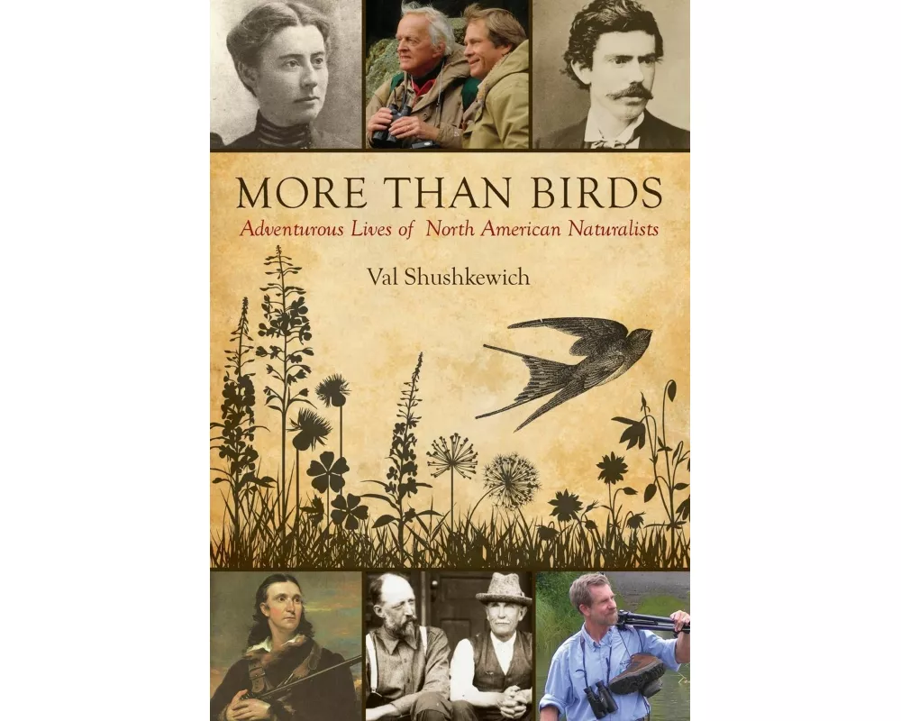 More Than Birds