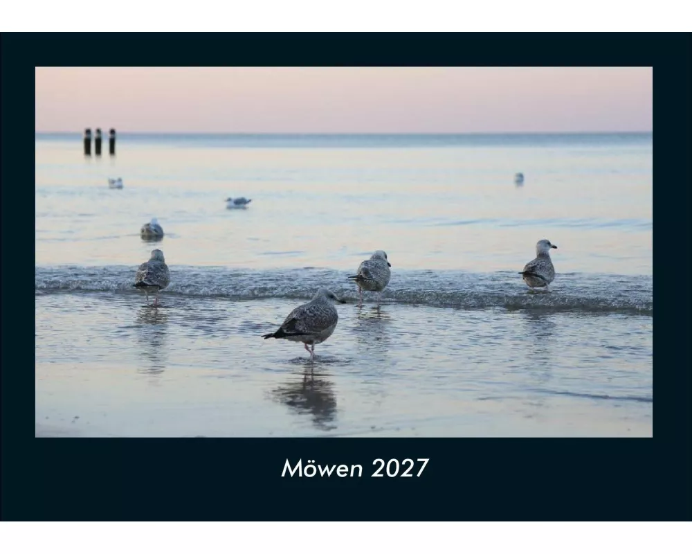 Möwen 2027 Fotokalender DIN A4