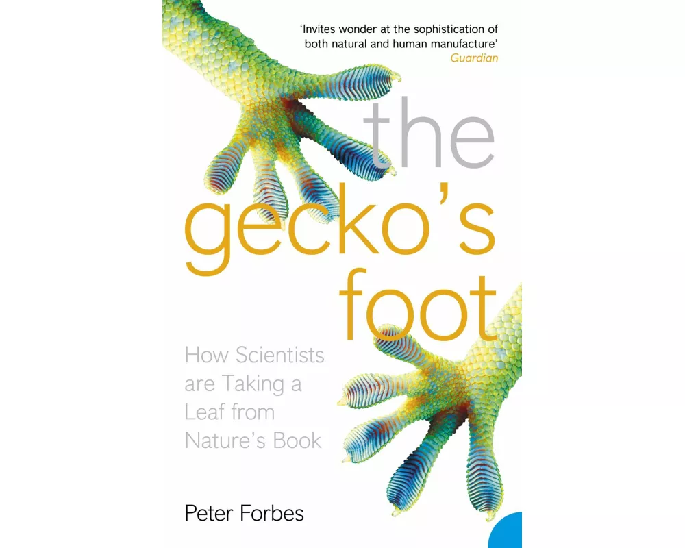 The Gecko’s Foot