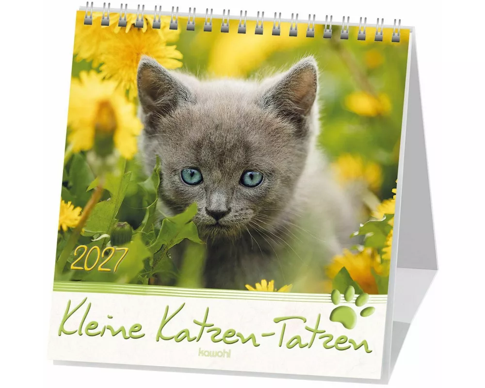 Kleine Katzen-Tatzen 2027