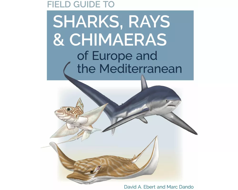 Field Guide to Sharks, Rays & Chimaeras of Europe and the Mediterranean