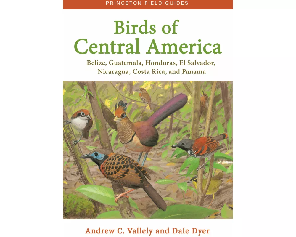 Birds of Central America
