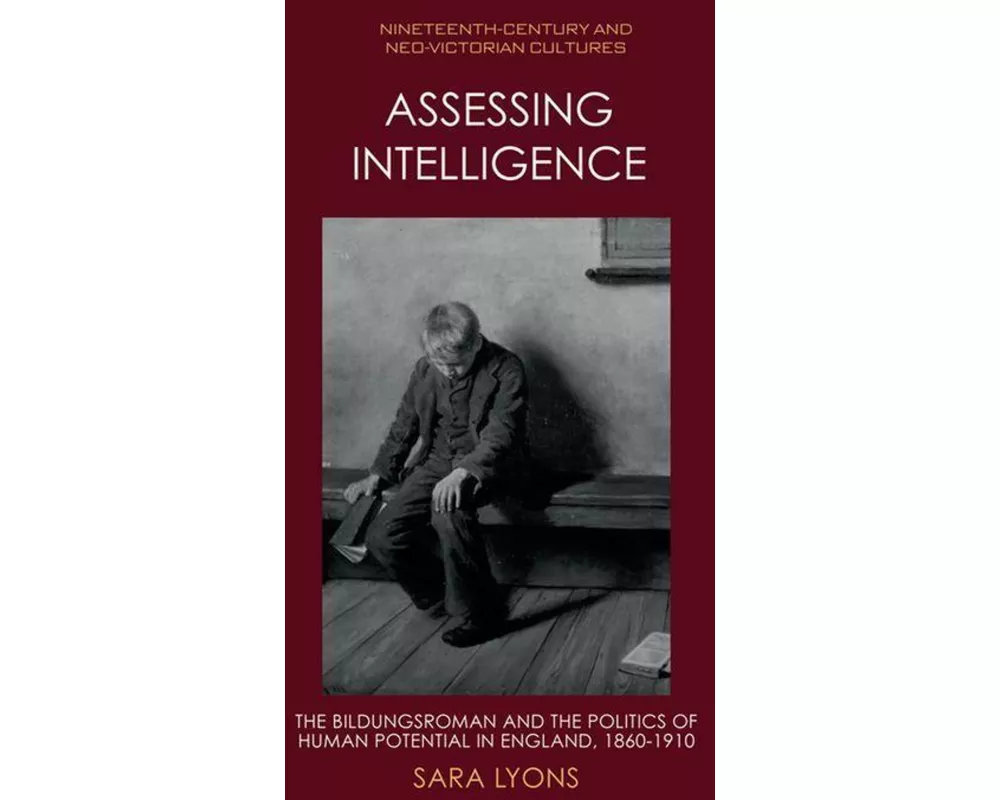 Assessing Intelligence