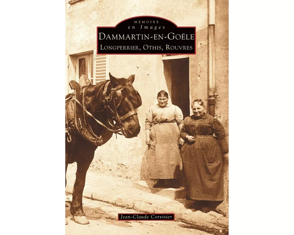 Dammartin-en-Goële - Tome I