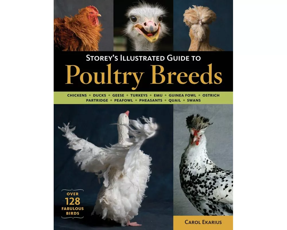Storey's Illustrated Guide to Poultry Breeds