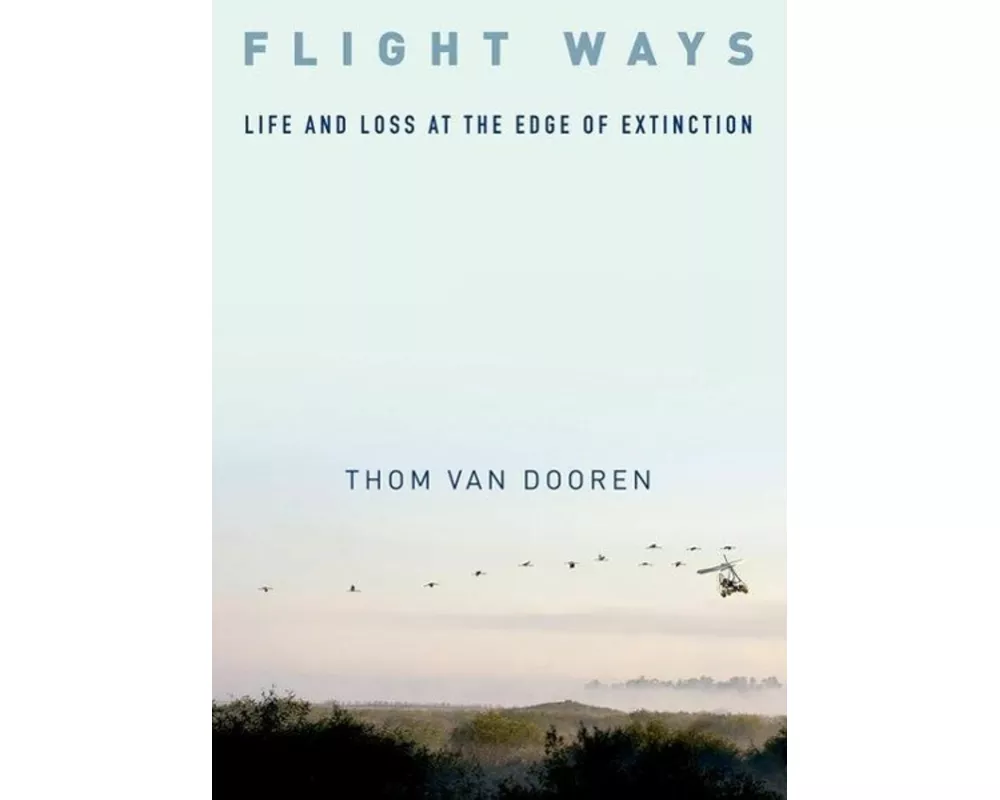 Flight Ways