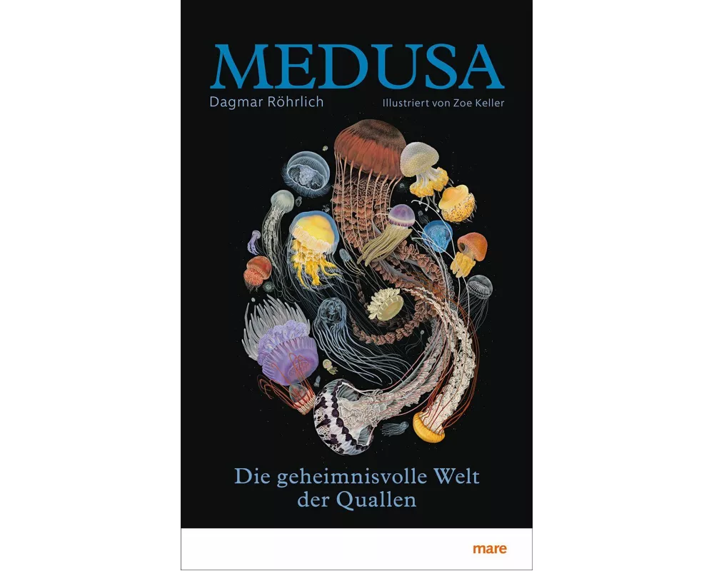 Medusa