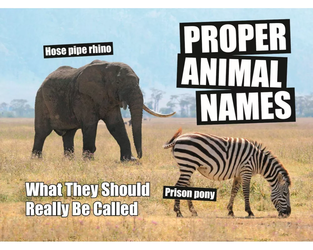 Proper Animal Names